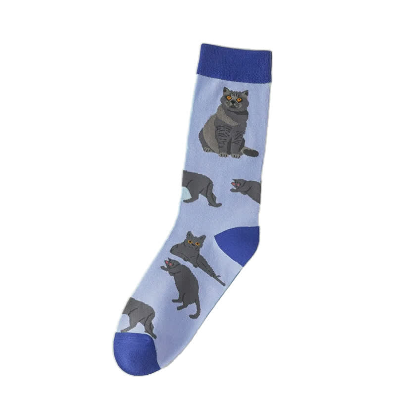 Cute Cat Quarter Socks(5 Pairs) - image 4
